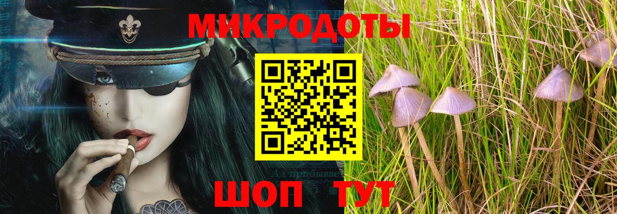 Галлюциногенные грибы MAGIC MUSHROOMS Михайловка