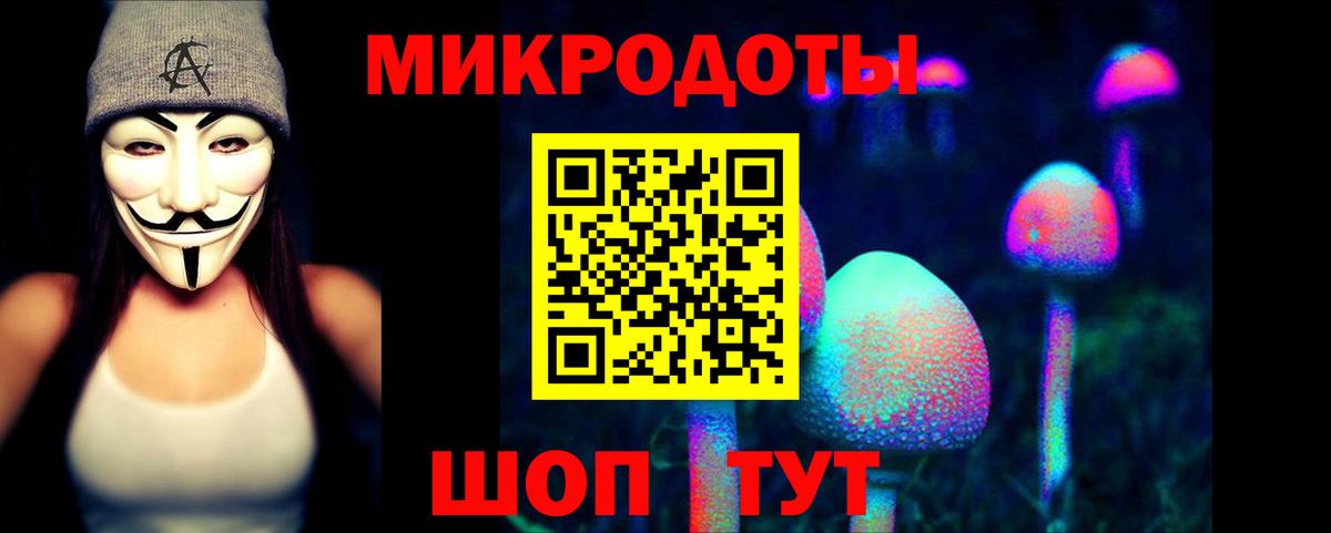 Михайловка  Галлюциногенные грибы прущие грибы  что такое наркотик  Вход с VPN 