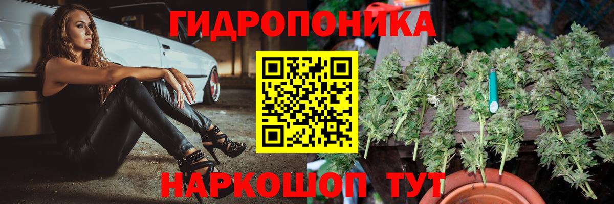 Михайловка  Канабис план  Вход с VPN  Конопля сатива  Марихуана семена  МАРИХУАНА SATIVA & INDICA 